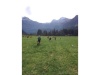 IMG 7347