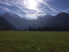 IMG 7349