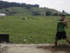 Walkrigen 5