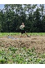 PHOTO-2022-08-29-08-51-05 2